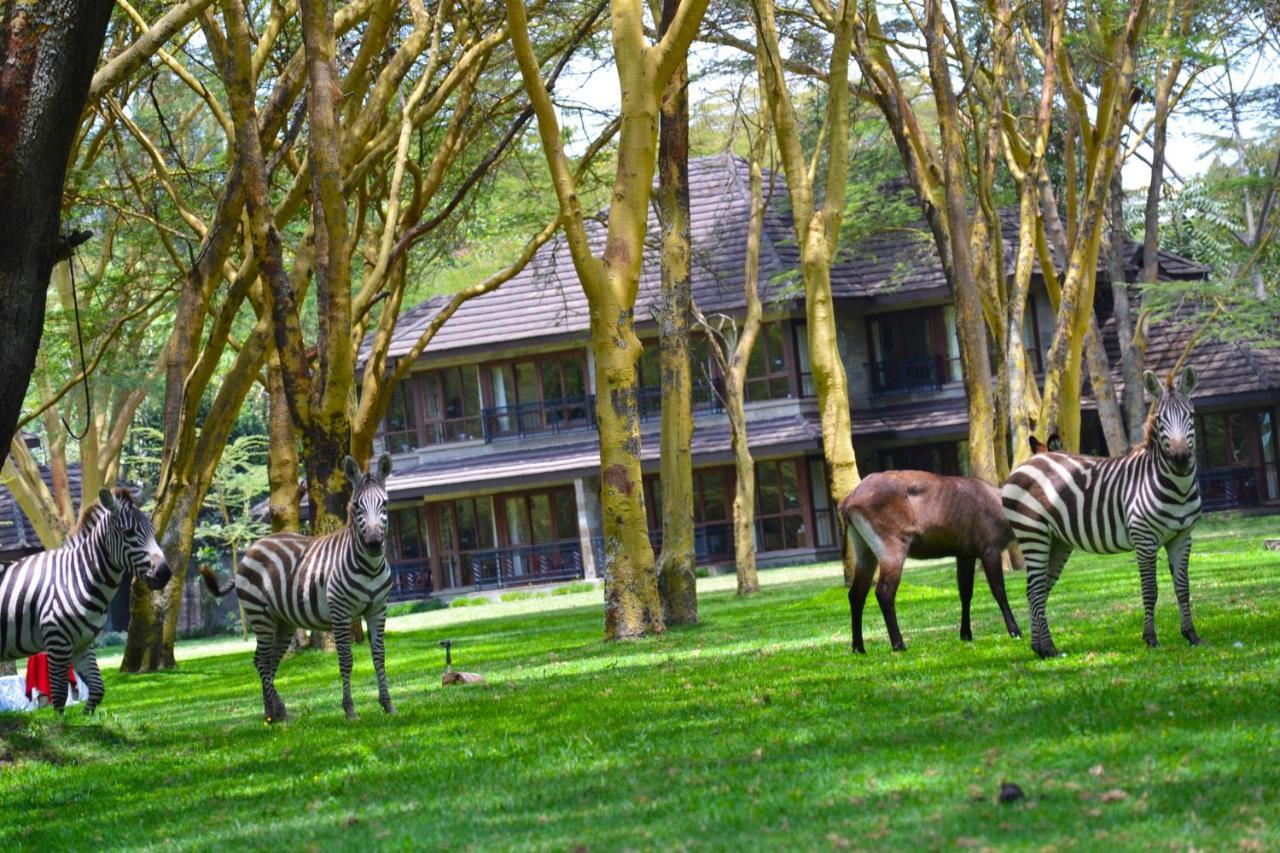 Lake Naivasha Simba Lodge Nairobi Exterior photo
